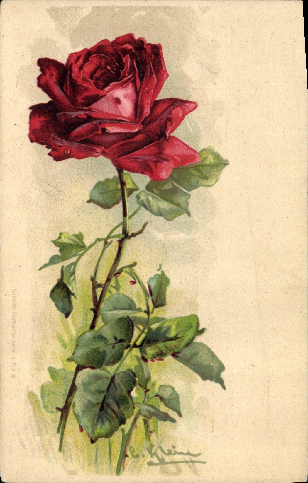 CPA Fantaisie Fleurs 