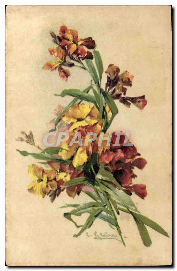 CPA Fantaisie Fleurs 