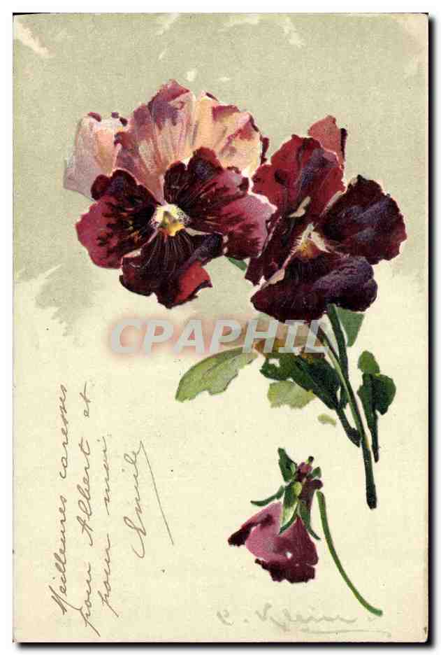 CPA Fantaisie Fleurs 