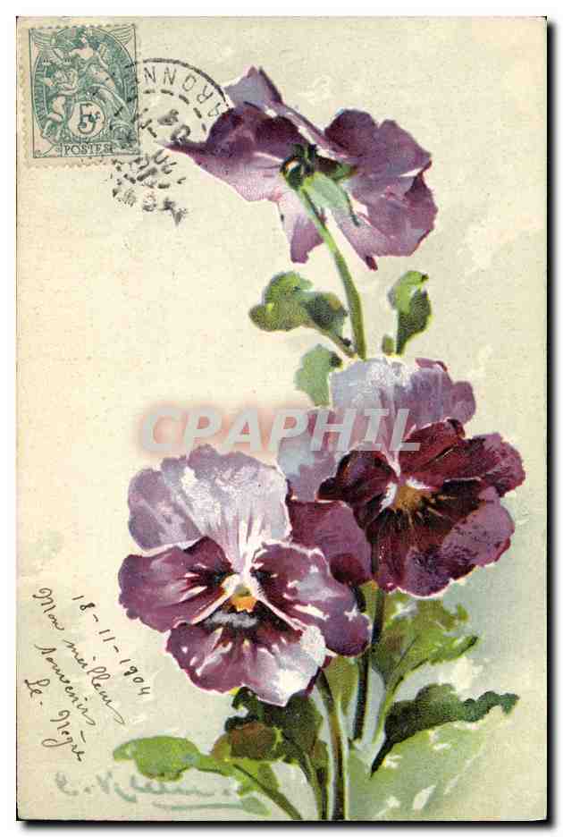 CPA Fantaisie Fleurs 
