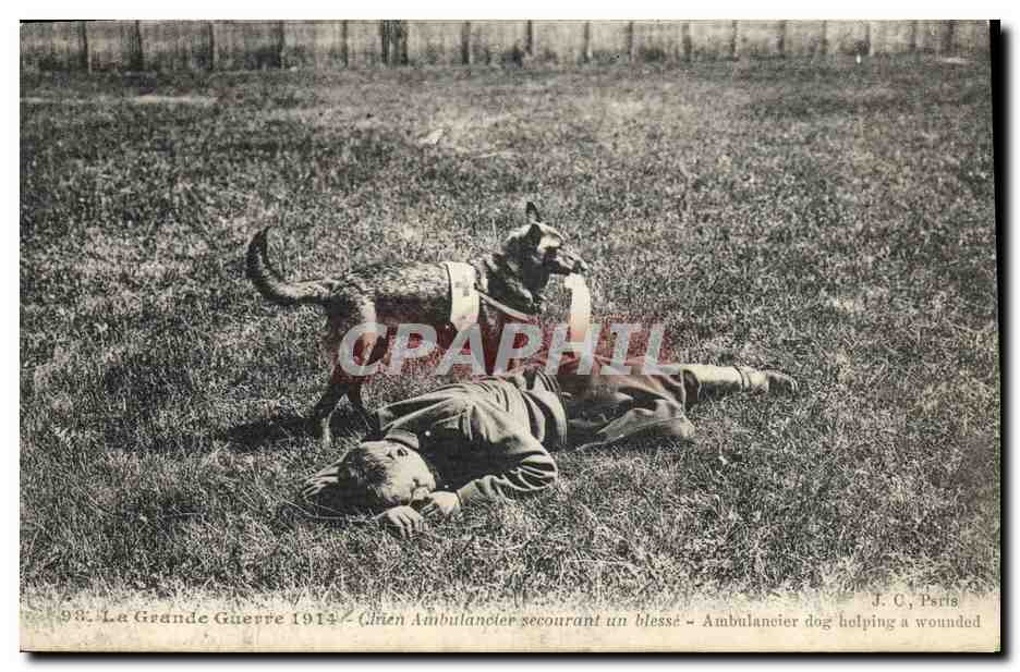Chien ambulancier secourant un blessé — La Grande Guerre 1914 — J. C., Paris