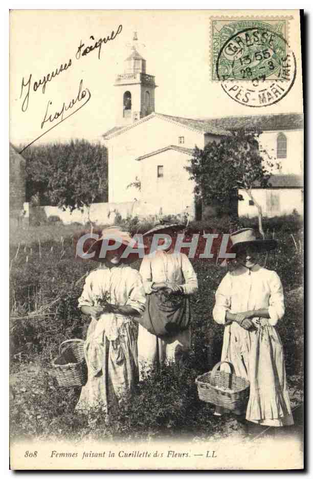 CPA Femmes faisaint la Cueillette des fleurs 