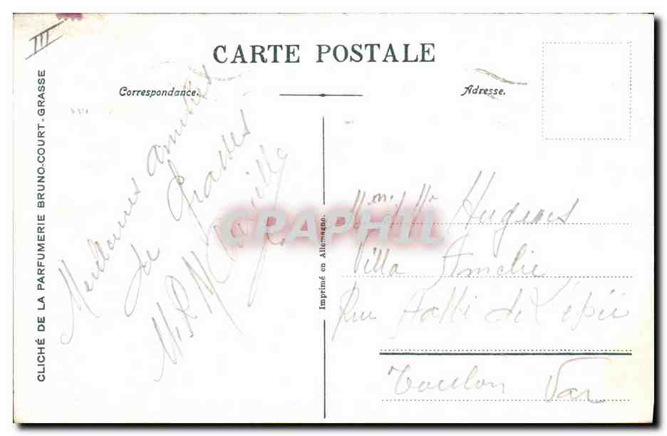 CPA Cote d'Azur Cueillette de la fleur d'oranger  — Rückseite