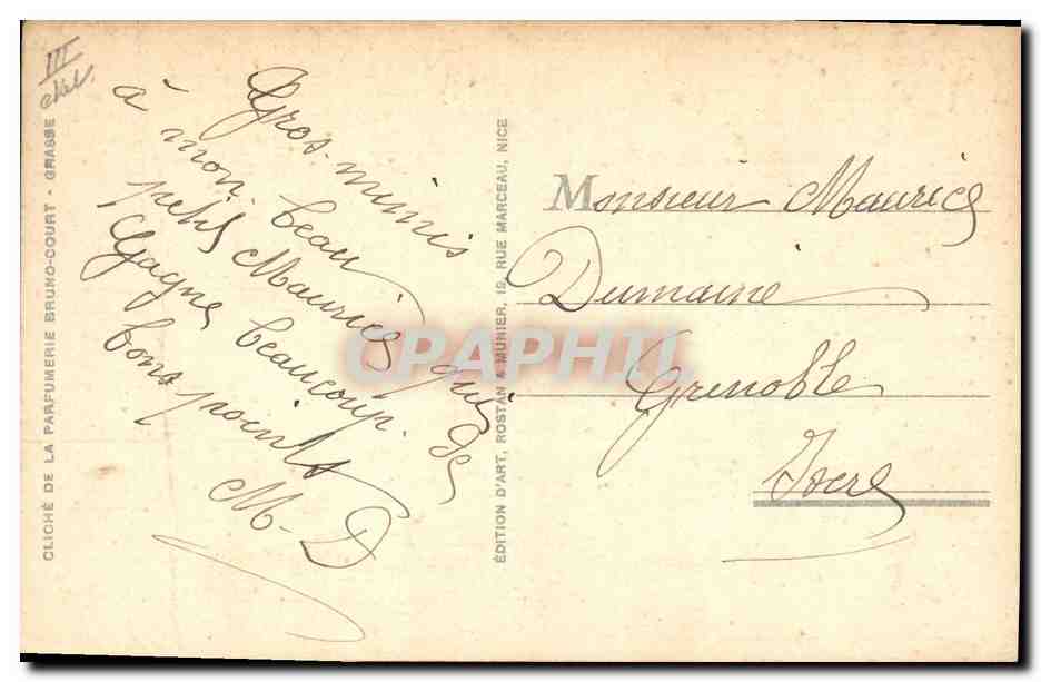 CPA Cote d'Azur Cueillette des Tubereuses  — Rückseite