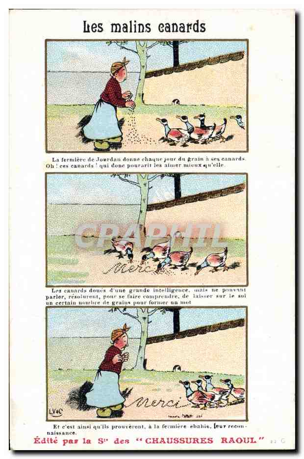 CPA Fantaisie Illustrateur Les malins canards Chaussures Raoul 