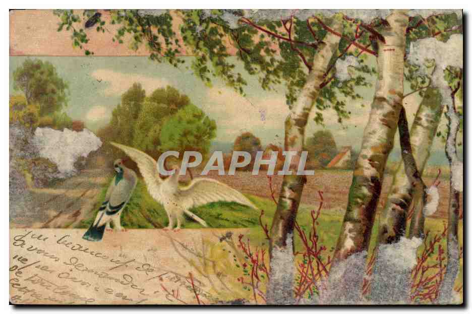 CPA Fantaisie Illustrateur Oiseaux 