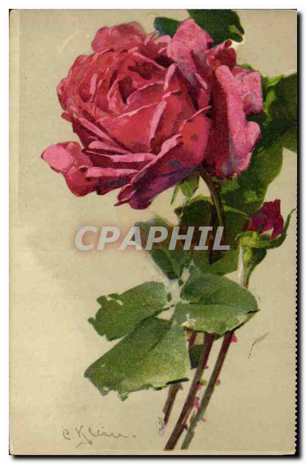 CPA Fantaisie Fleurs 