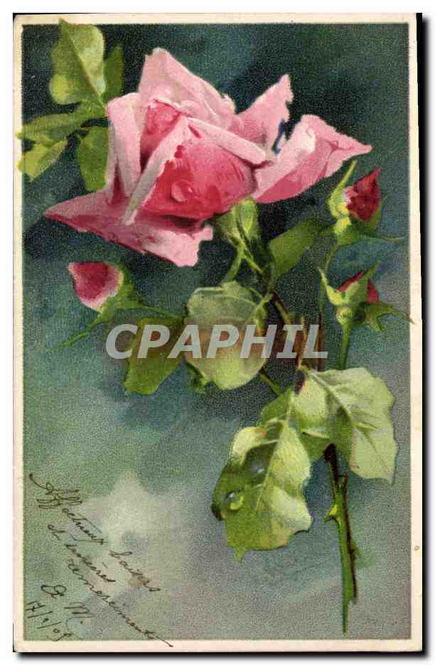 CPA Fantaisie Fleurs 