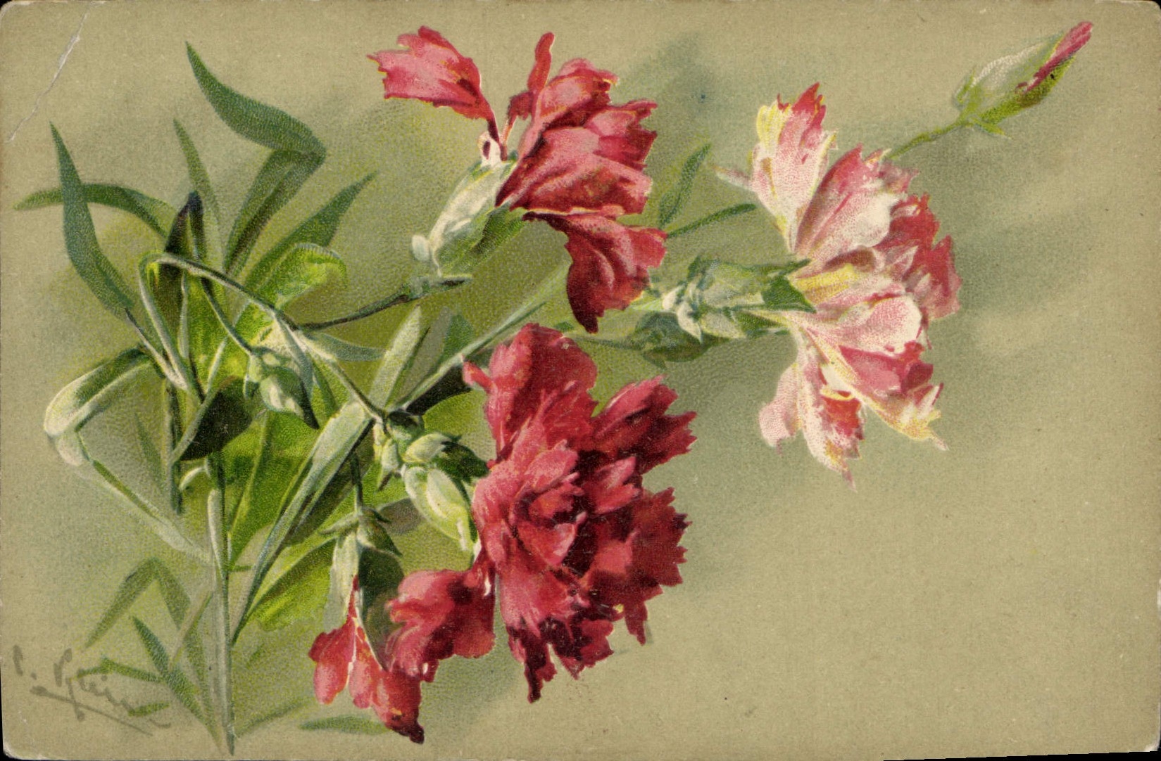 CPA Fantaisie Fleurs 