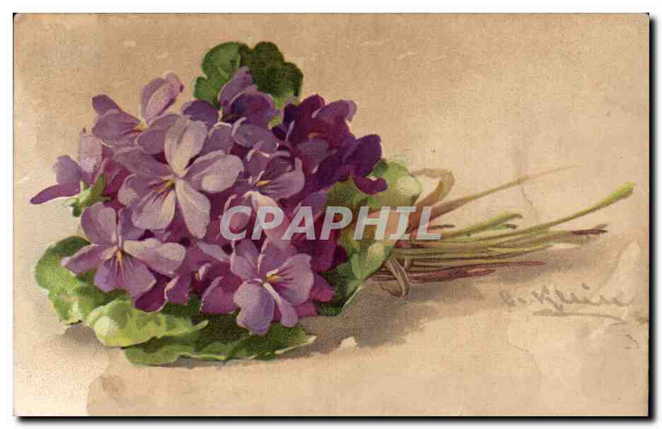 CPA Fantaisie Fleurs 