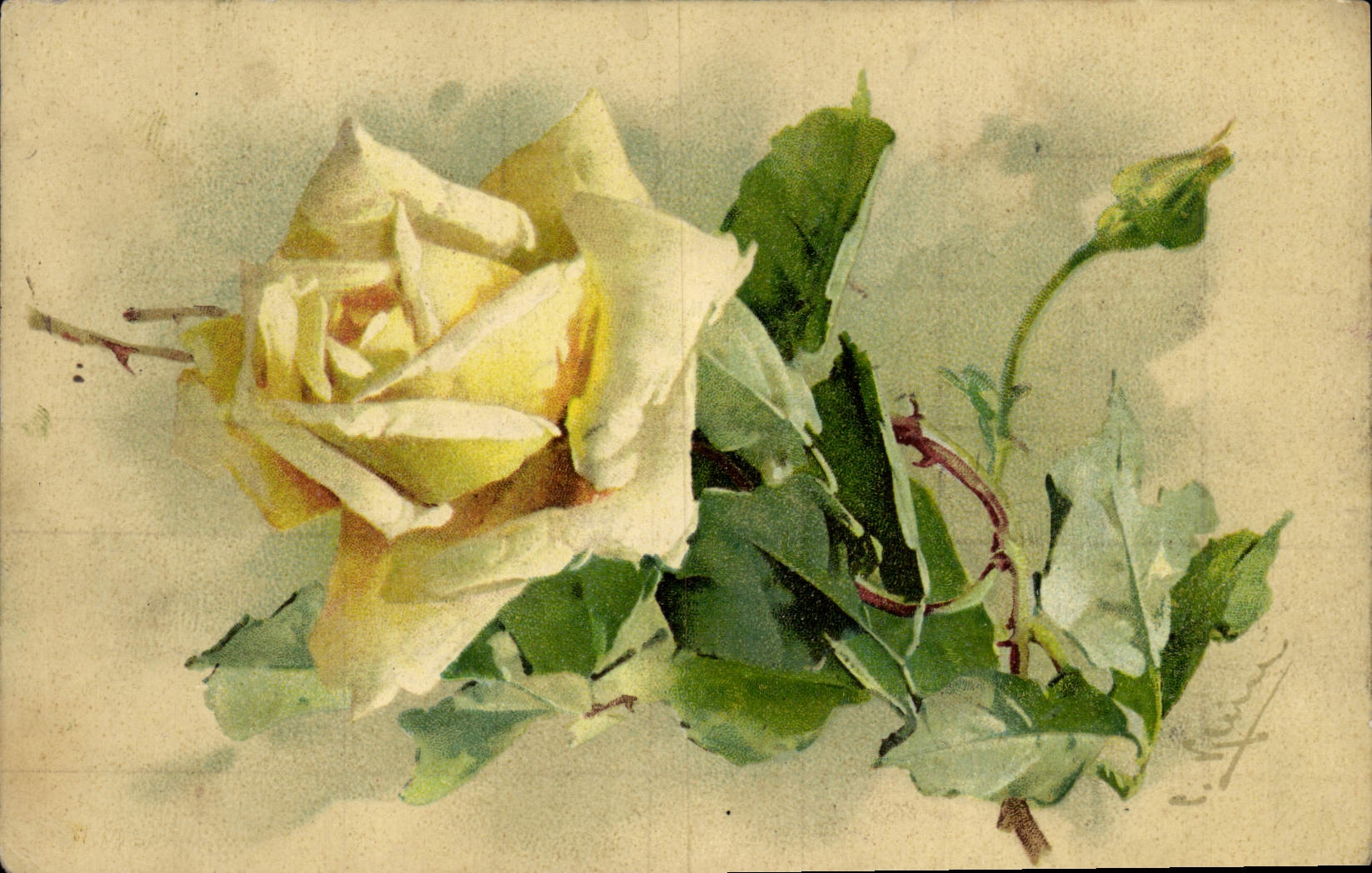 CPA Fantaisie Fleurs 