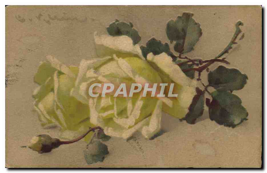 CPA Fantaisie Fleurs 