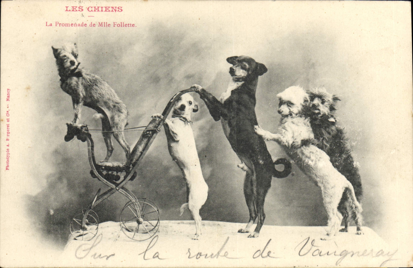 Les Chiens — La Promenade de Mlle Follette — Phototypie A. Birgeret et Cie, Nancy