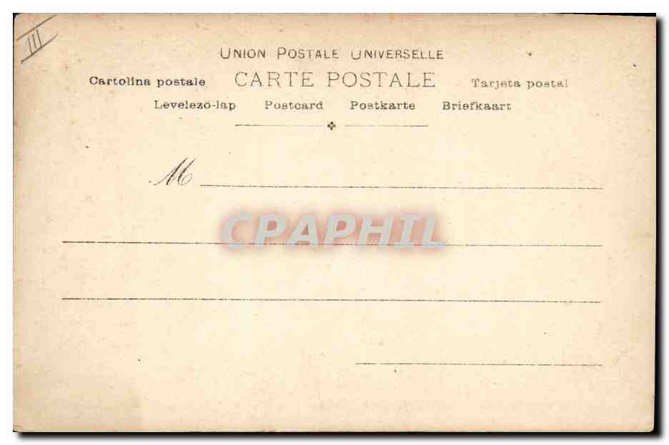 Diavolo — Chien Griffon d'arrêt — Paul Boyer, Paris — Verso