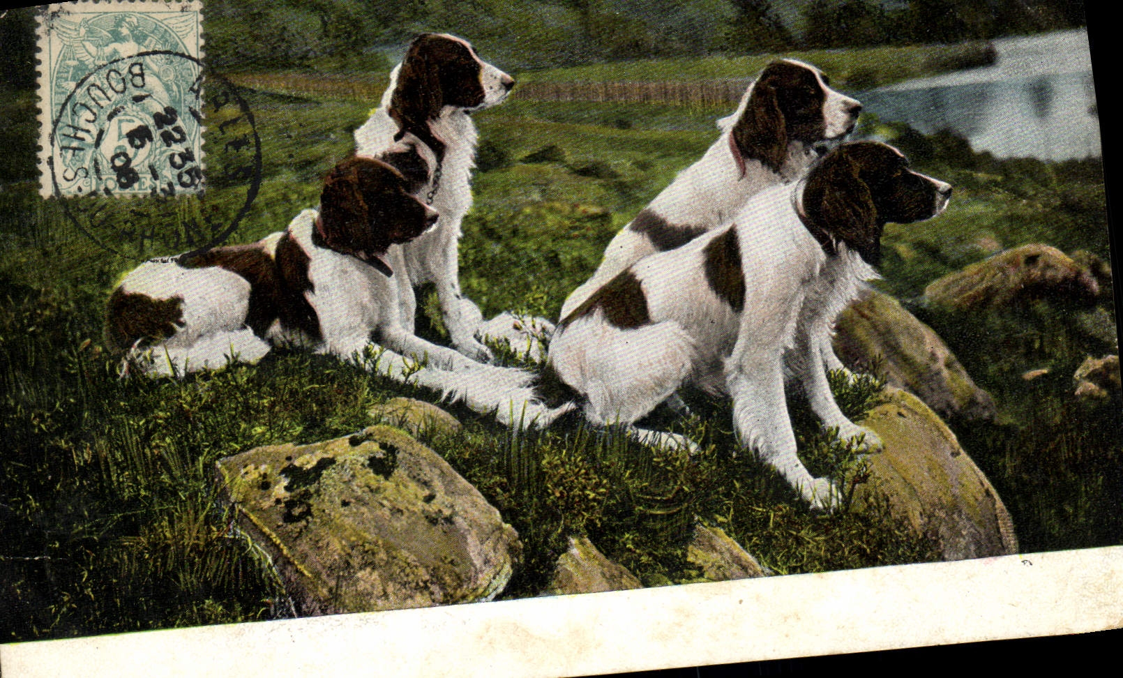 Quatre chiens de chasse — Bouches-du-Rhône — Éditeur E. L., série 864 - Recto