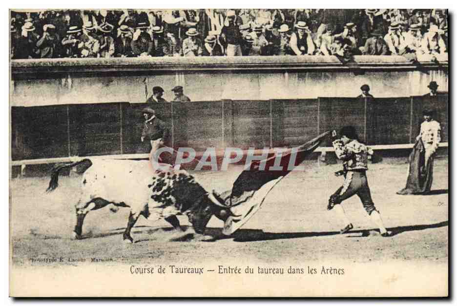 Course de Taureaux — Entrée du taureau dans les Arènes — phototypie E. Lasson, Marseille