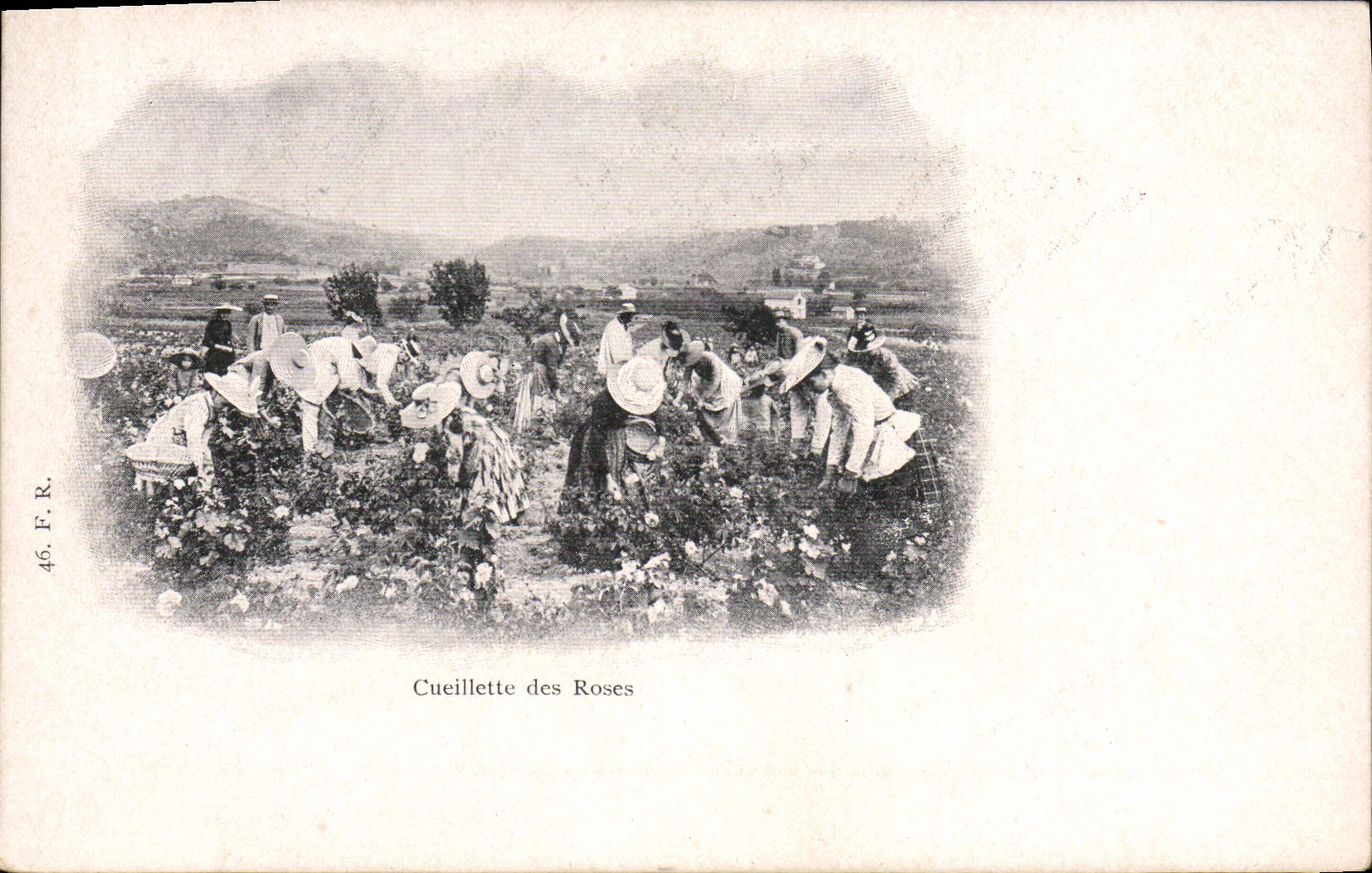 Cueillette des Roses — scène de récolte de roses — éditeur F. R. n° 46