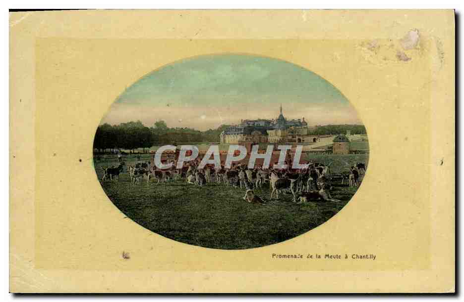CPA Chasse Chien Chiens Promenade de la meute a Chantilly