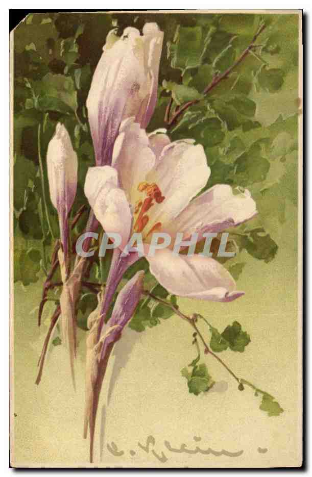 CPA Fantaisie Illlustrateur Fleurs 