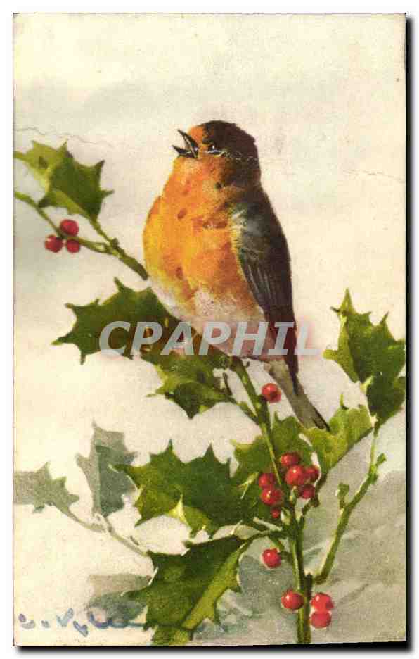 CPA Fantaisie Illlustrateur Fleurs Oiseau 