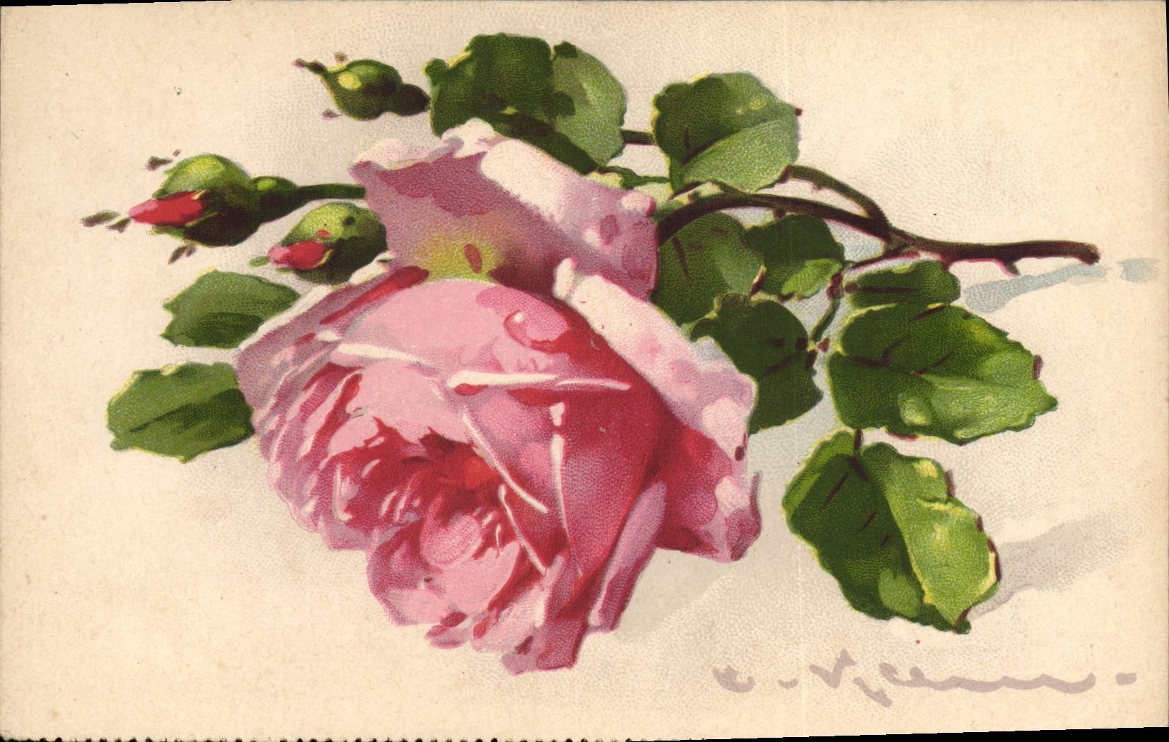 CPA Fantaisie Illlustrateur Fleurs 