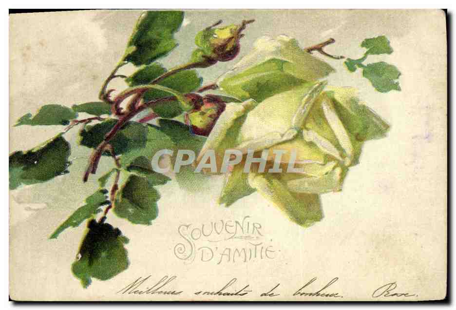 Rose blanche — Souvenir d'amitié — éditeur inconnu, n° de série non visible