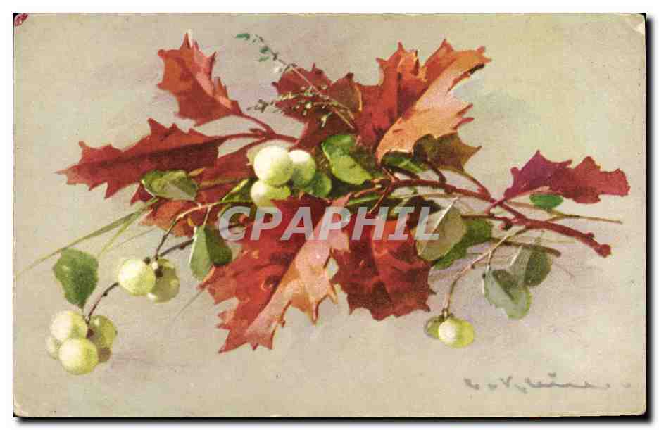CPA Fantaisie Illlustrateur Fleurs 
