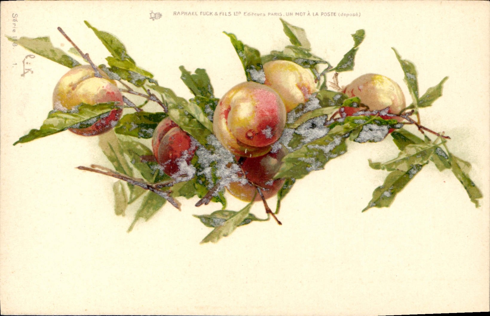 CPA Fantaisie Illlustrateur Fleurs 