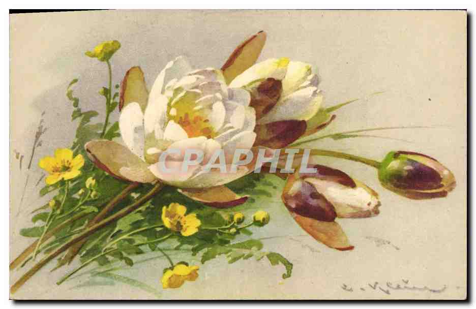 CPA Fantaisie Illlustrateur Fleurs 