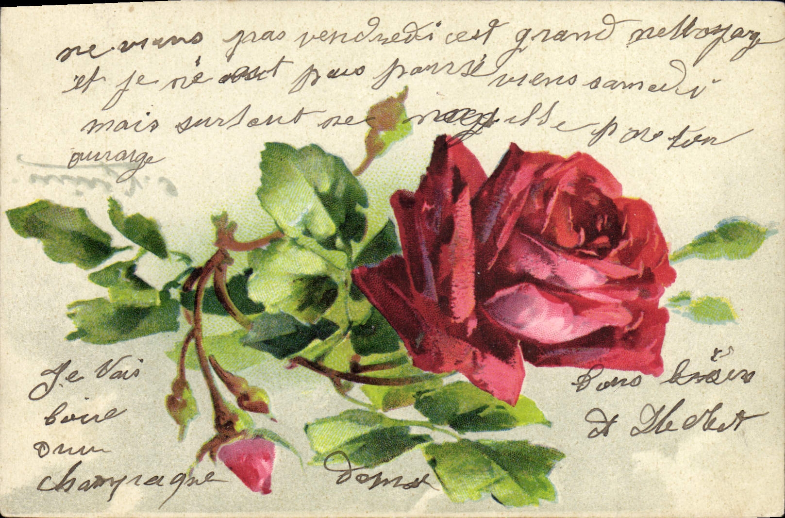 Rose — illustration colorée — série 6, 1882, Gruppe 9