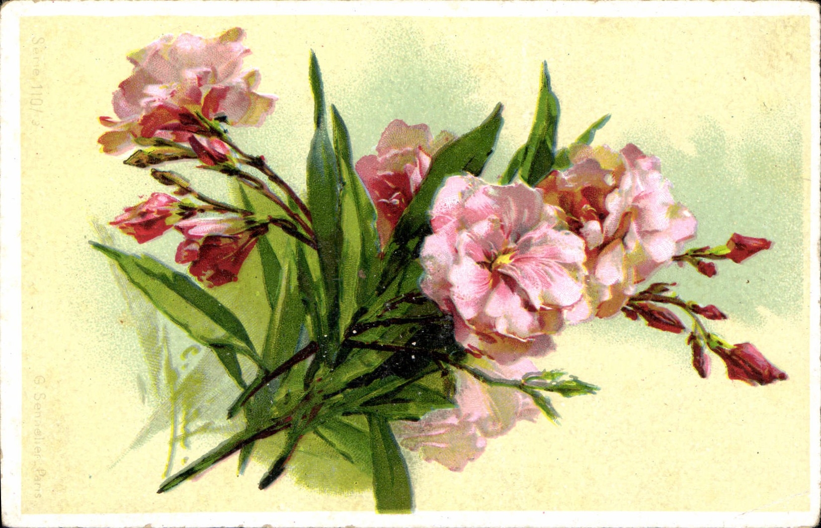 CPA Fantaisie Illlustrateur Fleurs 