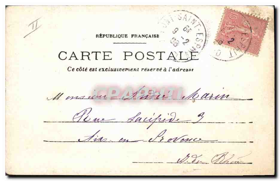 CARTE PHOTO Pont Saint Esprit Chiens Chien  — Verso