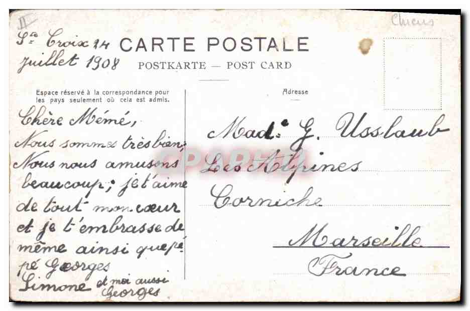 CPA Jeunes Chiens du St Bernard Chien  — Rückseite