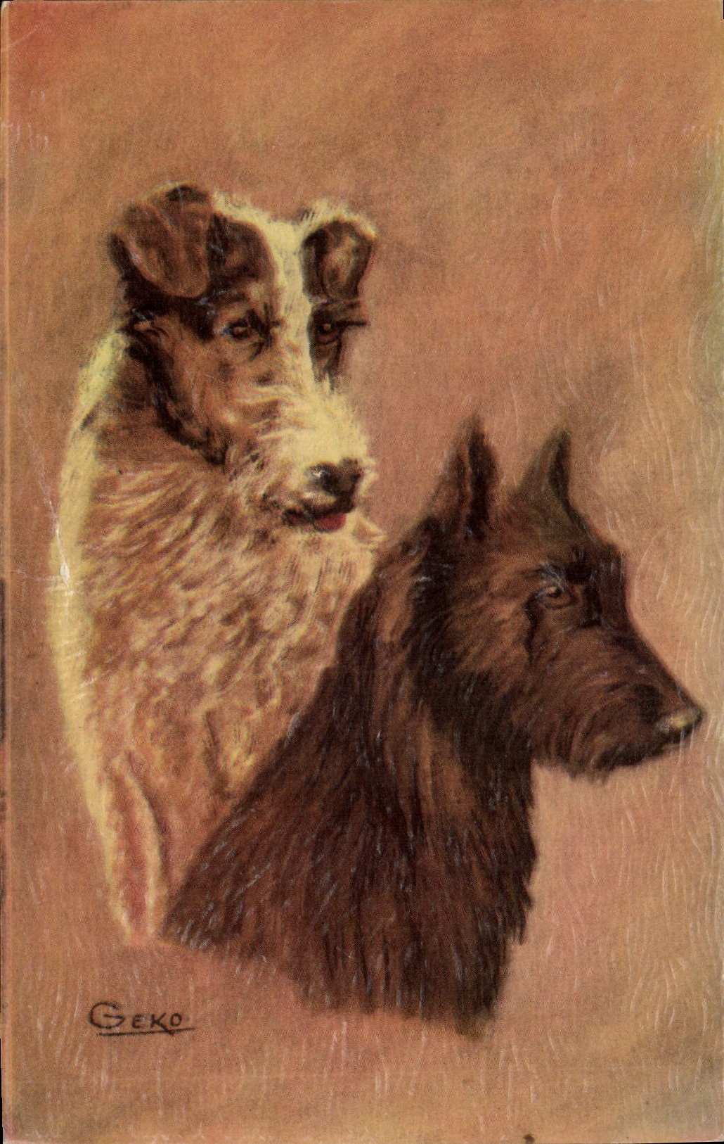 Deux chiens — portrait — Geko