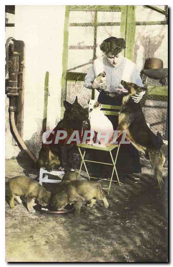 Femmes avec chiens et chiots — scène de ferme — Union Postale Universelle