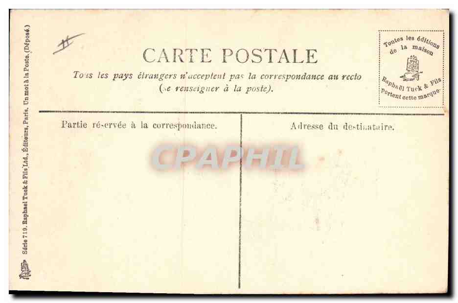 Deux Great-Danes — En arrêt. — Raphael Tuck & Fils, Paris — Verso