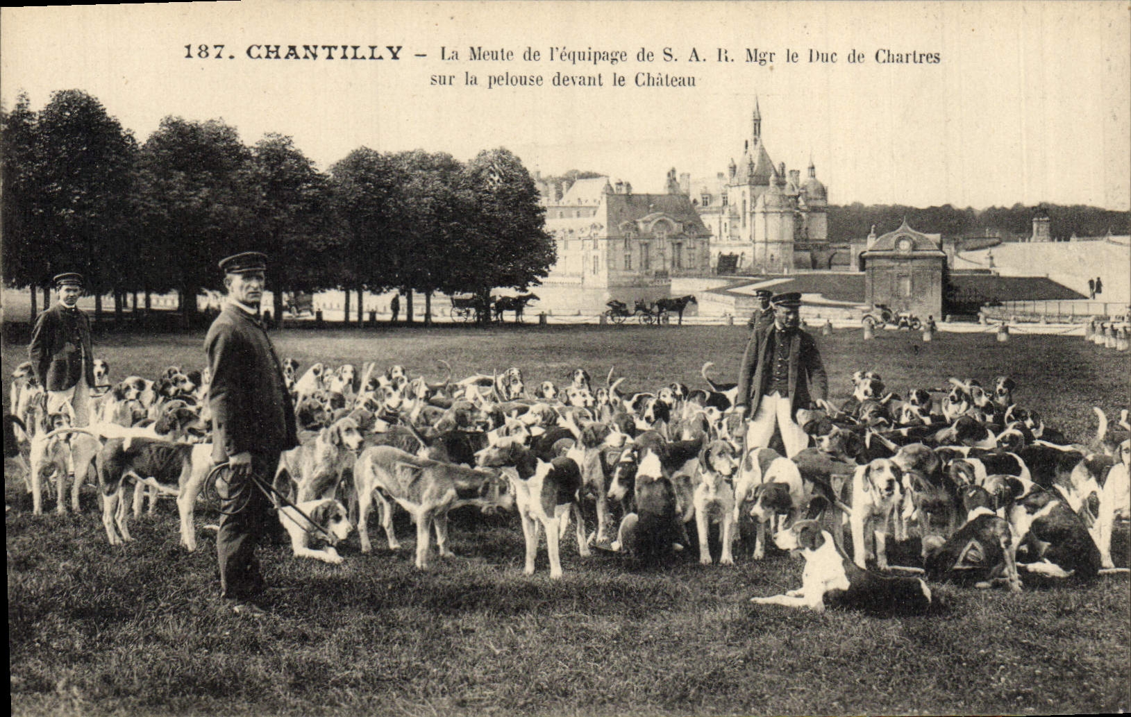 Chantilly — La Meute de l'équipage de S.A.R. Mgr le Duc de Chartres sur la pelouse devant le Château — Éditeur : CPAPHIL