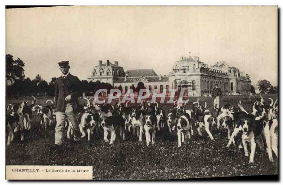 Chantilly — La salida de la manada — E. de Rozycki, fot. Sondix (Rhône)