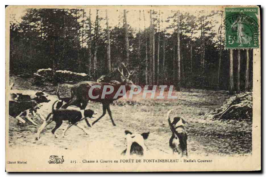 Chasse à Courre en FORÊT DE FONTAINEBLEAU — Cliché Niebel — n° 215 — Haillali Courrant