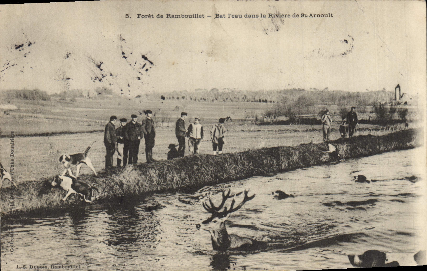 Forêt de Rambouillet — Bat l'eau dans la Rivière de St-Arnoult — L.-S. Dupois, Rambouillet