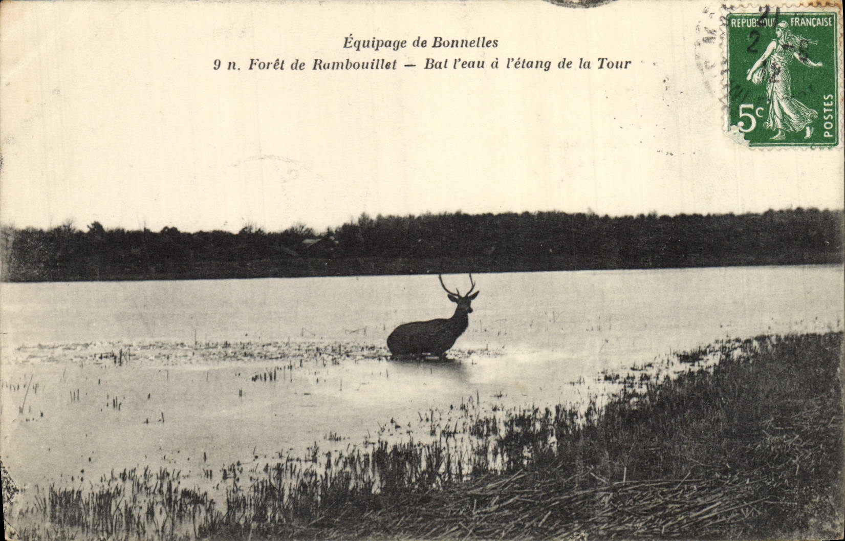 Équipage de Bonnelles — Forêt de Rambouillet — Cerf au bord de l'étang de la Tour