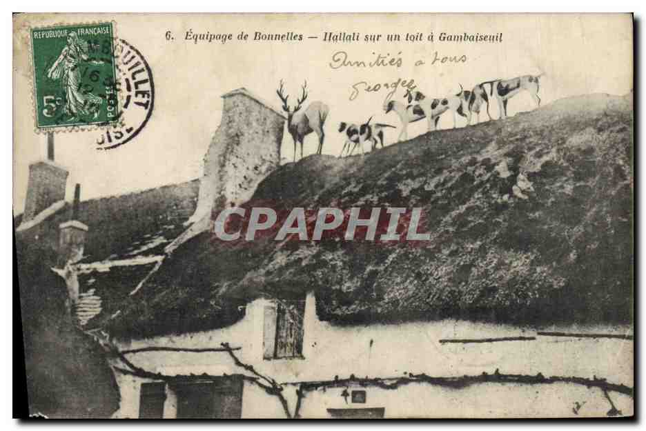 Équipage de Bonnelles — Illallali sur un toit à Gambaiseuil — Librairie Nouvelle, Rambouillet