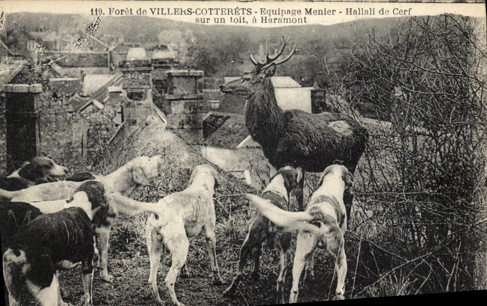 Forêt de VILLERS-COTTERÊTS — Equipage Menier — Hallali de Cerf sur un toit, à Haramont