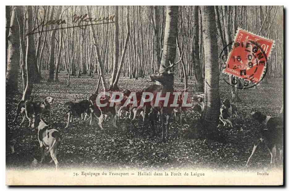 Hallali dans la Forêt de Laigue — Equipage du Francport — Decelle