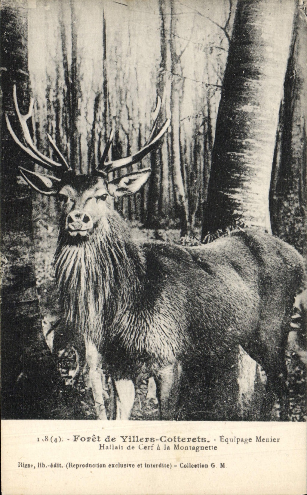Forêt de Villers-Cotterêts — Équipage Menier — Risse, lib.-édit.