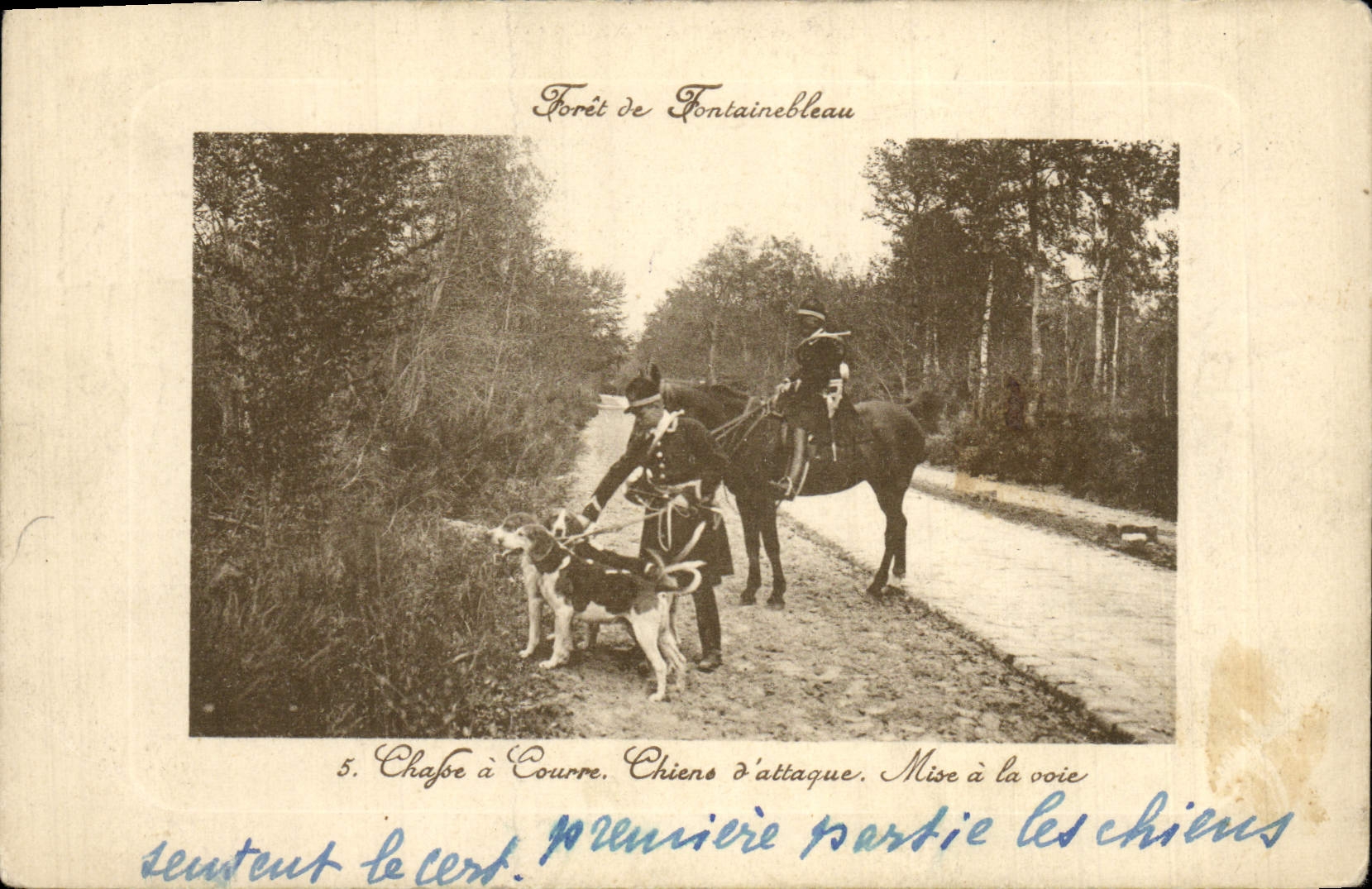 CPA Chasse a courre Foret de Fontainebleau Chiens d'attaque Mise a la voie Chien Chiens