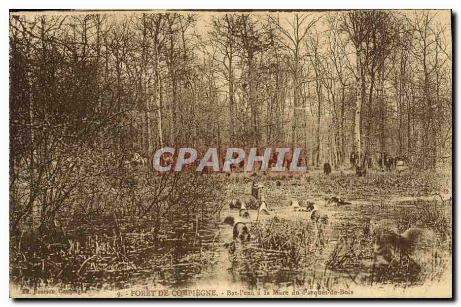 Forêt de Compiègne — Bat-l'eau à la Mare du Parquet-du-Bois — Éditeur : P. Bourson, Compiegne, n°9