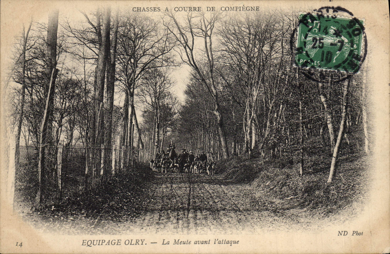 Chasses à Courre de Compiègne — Equipage Olry — La Meute avant l'attaque — ND Phot
