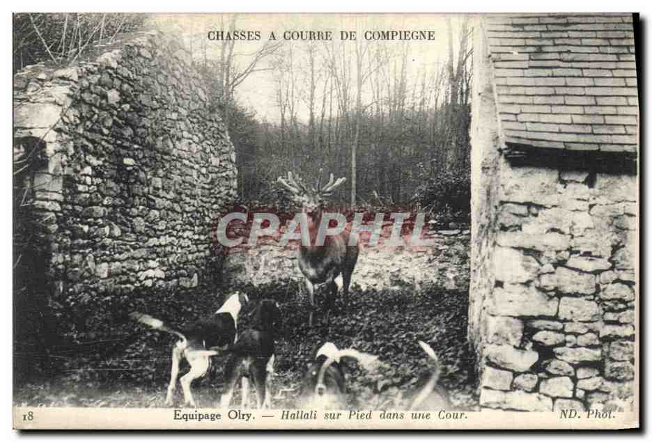 Chasses à Courre de Compiègne — Équipage Olry — Hallali sur Pied dans une Cour — ND. Phot.