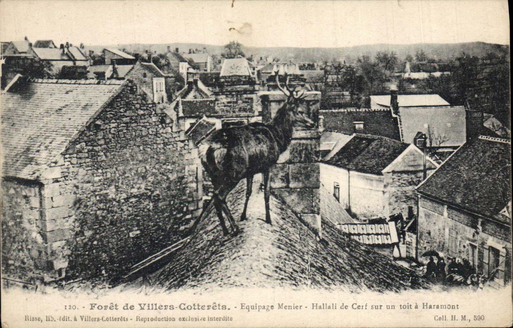 Hallali de Cerf sur un toit à Haramont — Forêt de Villers-Cotterêts — Équipage Menier — n°120 — Risse, lib.édit. à Villers-Cotterêts